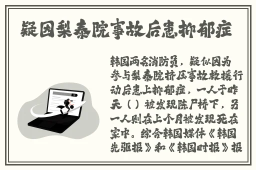 精品久久久国产阮梅